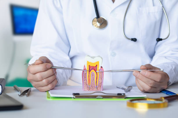 Best Emergency Tooth Extraction in Ladysmith, WI